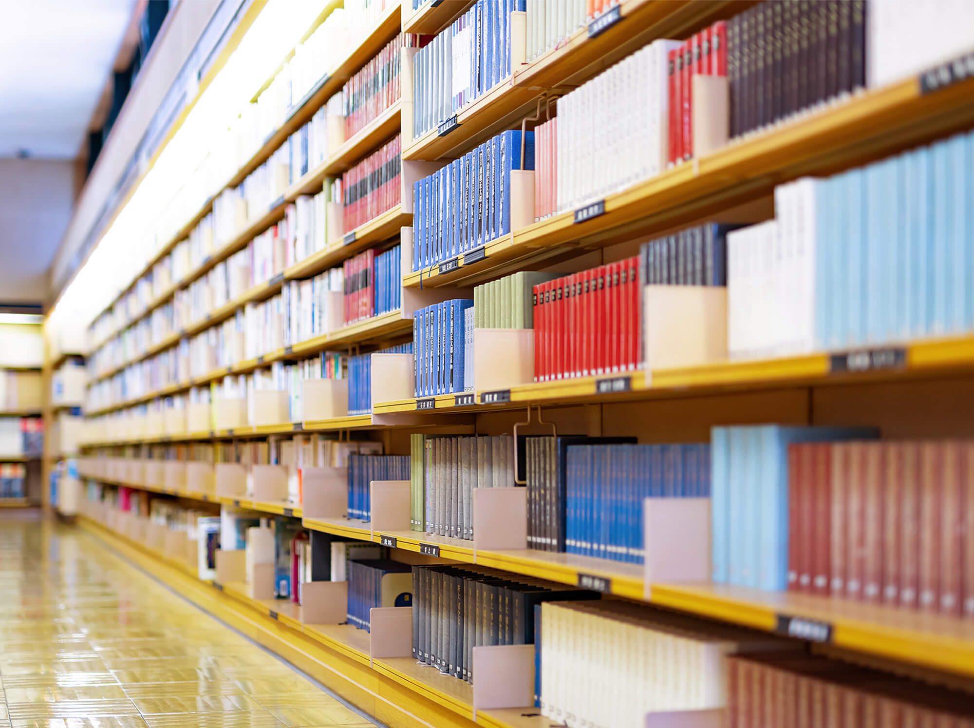 図書館内の様子